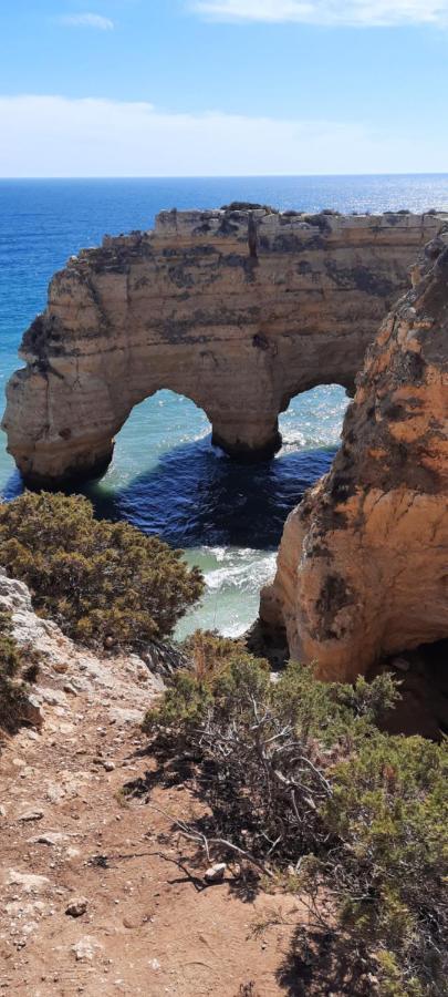 Rural Peace In The Algarve - Private Room With Kitchenette And Bathroom Aldeia dos Matos 외부 사진